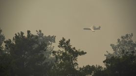 İzmir'de Tarım Alanında Başlayan Yangın Ormana Sıçradı