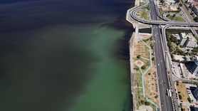 İzmir Körfezi'nde Balık Ölümleri Tekrar Gündemde