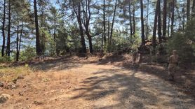 Jandarma Ekipleri Orman Yangınları İçin Görev Başında