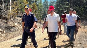 Karaman'da Orman Yangını İncelemesi