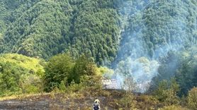 Kastamonu'da Ev Yangını Ormanlık Alana Sıçradı