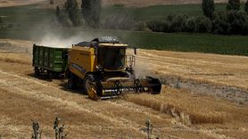 Kayseri'de Ekili Tarım Arazisi Yüzde 22 Artarak 32 Bin Üreticiye Ulaştı