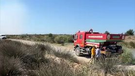 Kızılırmak Deltası Kuş Cenneti'nde Yangın Felaketi