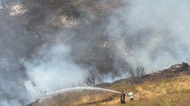 Kocaeli'de Otlu Alanda Yangın Çıktı