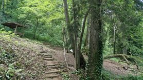 Kuzalan Tabiat Parkı: Kızıl Suyun ve Travertenlerin Büyüsü