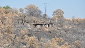 Mersin Silifke'deki Orman Yangını Sonrası AFAD İle Destek Süreci