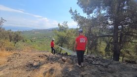 Mudanya'da Orman Yangını Kontrol Altına Alındı