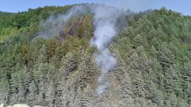 Sinop'taki Orman Yangını Kontrol Altına Alındı