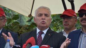 Trabzon'da Fındık Hasat Şenliği Heyecanı