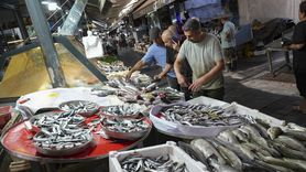 Ege'de Balık Sezonu Bereketli Başladı