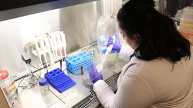 Kütahya'da Bağırsak Hastalıklarına Özel Bor Mineralli Ürün Geliştirildi