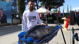 Yalova'da Doğa Sporları ve Sportif Balıkçılık Festivali