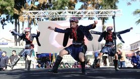 Ayvalık'ta 20. Zeytin Hasat ve Turizm Festivali Başladı