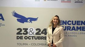 Çokal, AND Parlamentosu'nda Türkiye'nin Diplomatik Vizyonunu Paylaştı