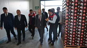 Denizli'de İhracatlık Nar Hasadı Başladı