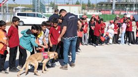 Diyarbakır'da Cumhuriyet Bayramı Coşkusu
