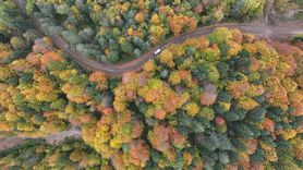 Düzce, Sakarya ve Bolu'da Sonbaharın Renk Cümbüşü