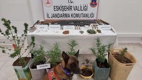 Eskişehir'de Uyuşturucu Operasyonu: 7 Gözaltı