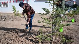 Filistinli Gazeteciler İçin Fidan Dikim Töreni