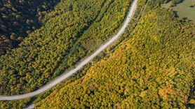 Kastamonu Ormanlarında Sonbahar Güzellikleri