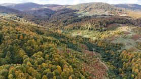 Ordu'da Sonbahar Renkleri Hava Görüntüleriyle Büyülüyor