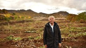 Giresun'da Emekli Banka Müdürü Antep Fıstığı Bahçesi Kurdu