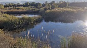 Tokat'ta Gölete Düşen Araçta Sürücü Yaralandı