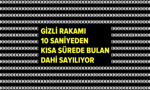 Görsel Zeka Testleri: Gizli Rakam Bulma ve Farkları Bulma