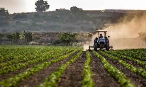 TÜİK Tarım-GFE Verilerini Açıkladı: Mart Ayında Tarımsal Girdi Fiyatları Yükseldi