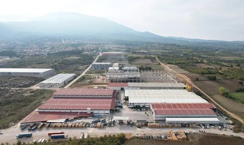 Weltew Home, Mega Yatırımıyla İhracatını Hızlandıracak