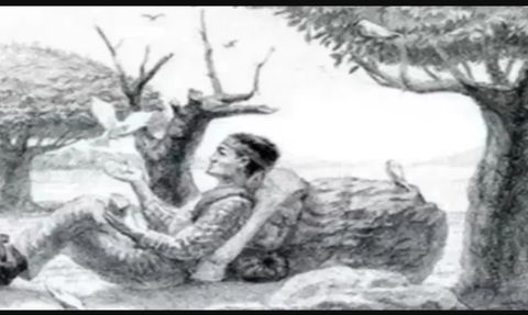 Keskin Gözlere Sahip Olanlar Sadece Bu Optik İllüzyonda Gizlenen Atı Görebiliyor