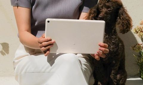 Google Pixel Tablet Japonya'da Göründü