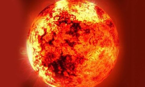 Ahtapotların Uyum Sağlama Yeteneği: Beyinlerini Yeniden Yapılandırıyorlar