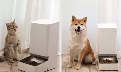 Evcil Hayvanlar İçin En İyi 10 Ürün Önerisi