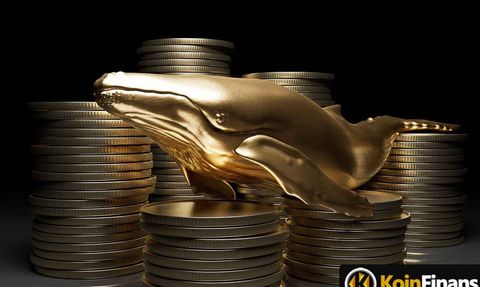 Kripto Balinaları Binance ve Kraken'den 150 Milyon Doların Üzerinde Ethereum Çekti