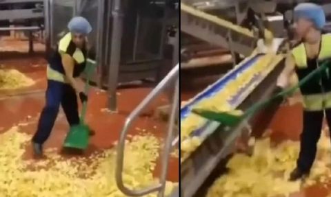 Cips Üretimi Sırasında İnsan Sağlığı İhmal Edildi