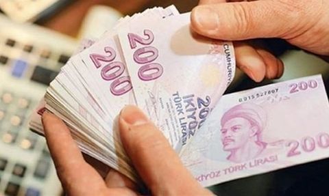 Euro Trend Yatırım, Euro Kapital ve Euro Menkul Hisse Performansı