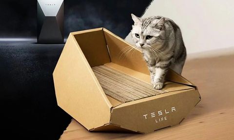 Tesla Cybertruck İlhamlı Kedi Yatağı Piyasaya Sürdü