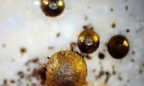 Bilim İnsanları, Güneş Sistemimizin Dışından Gelen Materyaller Bulduklarını İddia Ediyor