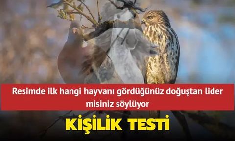 Kişilik Testleri ve Liderlik Özellikleri