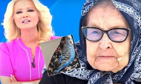 Müge Anlı ile Tatlı Sert Programında 90 Yaşındaki Ayşe Hanımın Kayıp Kuşu Maviş'in Hikayesi