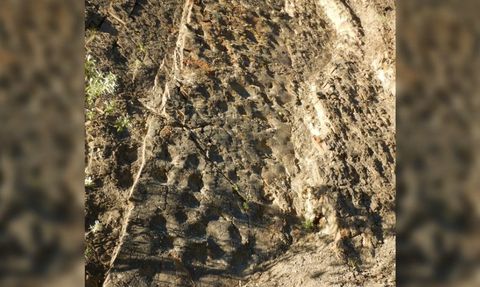 Uçurumdaki Ayak İzleri Dehşete Düşürdü