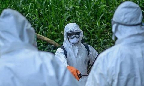 Tedbirlere rağmen hastalık yayılıyor: 5 bin vaka, 100'den fazla ölü!