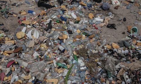 Gine Sahillerindeki Çöp Yığınları Çevre ve İnsan Sağlığına Tehlike Oluşturuyor