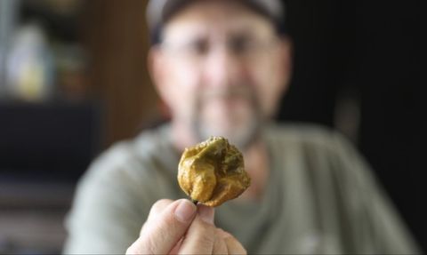 Dünyanın En Acı Biberi Guinness Rekorunu Kırdı