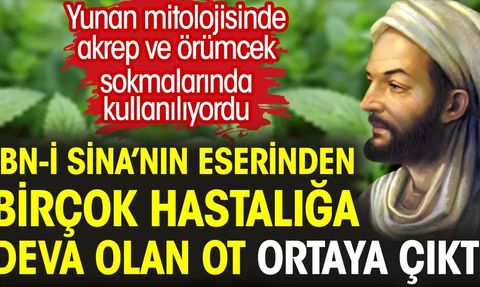 İbn-i Sina'nın Eserinden Çıkan Limon Otu