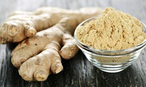 Zencefilin Mide Bulantısı ve Kusmaya Etkisi