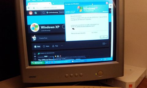 Windows XP 22 yaşına girdi!