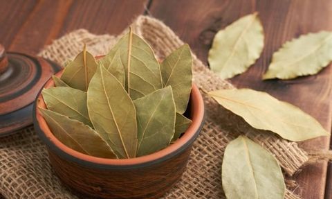 Kekik Çayı: Nasıl Yapılır, Faydaları ve Zararları