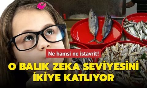 Omega-3 ile Zeka Gelişimi: Palamut Balığı